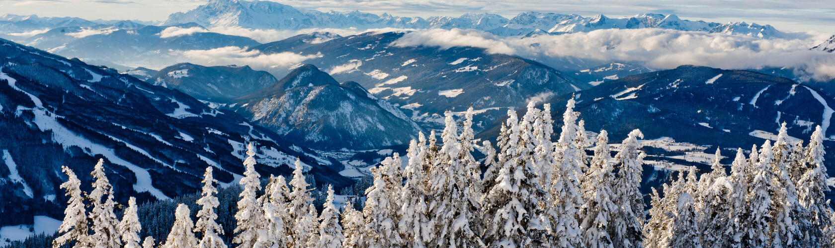 Winterwonderland  | © Tom Lamm