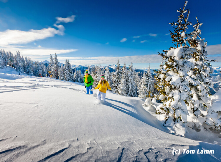 Winterwandern mit dem Liebsten in der Region Schladming-Dachstein | © Tom Lamm