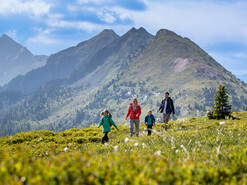 Wandern auf der Planai | © Tom Lamm