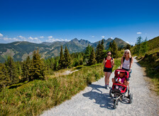 Up on the Planai & enjoy the panorama trail! | © Tom Lamm