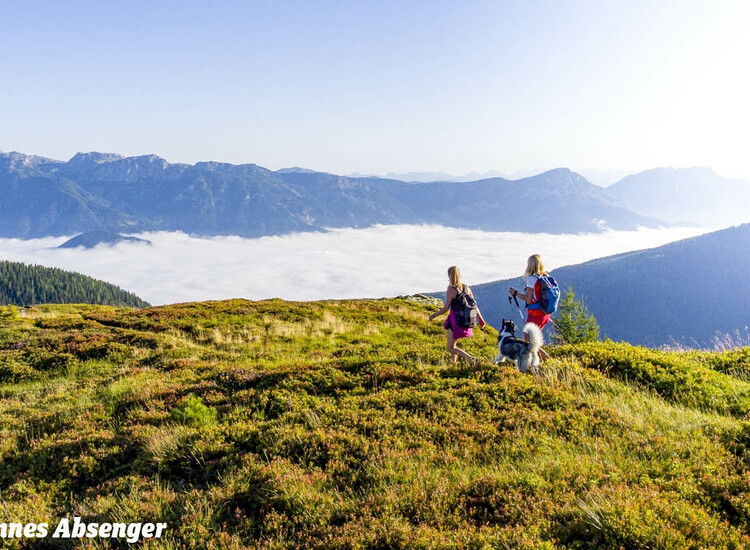 Dein Bergsommer auf der Planai | © Johannes Absenger