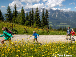 Summer panorama Ennstal | © Tom Lamm