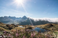 Mit dem Wanderbus ins Preuneggtal zur Urspungalm | © Gerhard Pilz