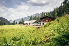 Wöchentliche Ausflugsfahrt mit dem Planaibus zur Vögeialm im Forstautal und wieder zurück | © TVB Forstau